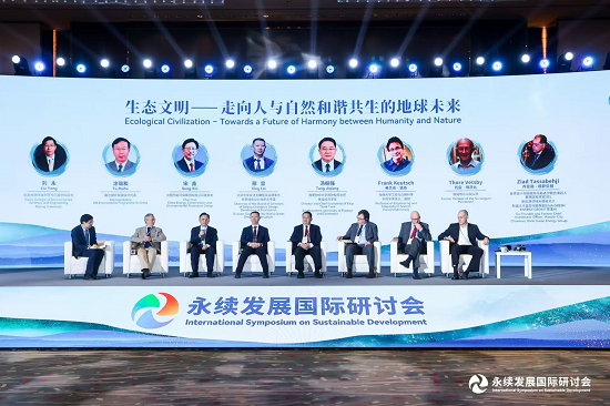 向导动态