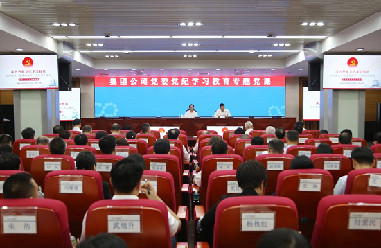 向导动态