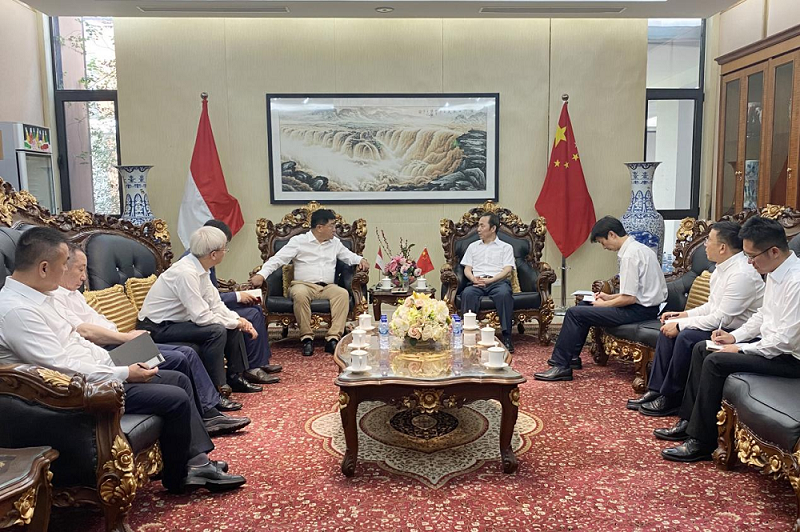 向导动态