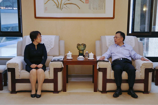 向导动态
